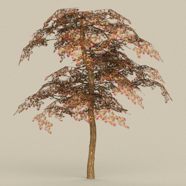 Game Ready Tree 19 3D Model