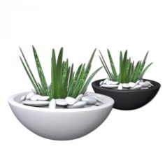 Aloe Vera – Potted Plant 2 3D Model