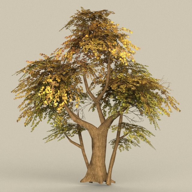 Game Ready Tree 13 3D Model