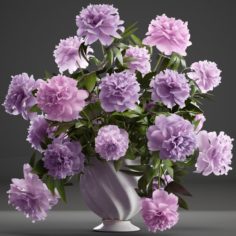 Bouquet lilac Peonies 3D Model