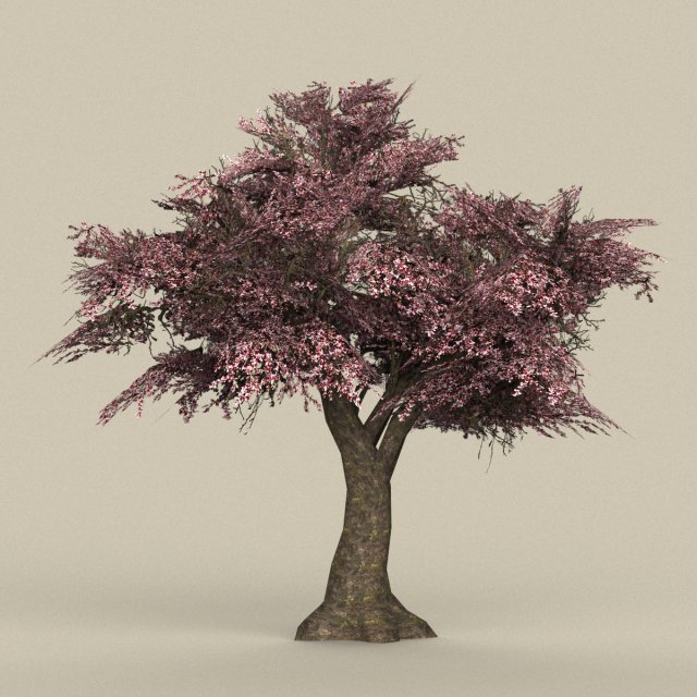 Game Ready Tree 34 3D Model