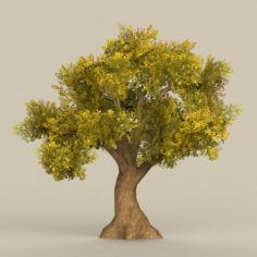 Game Ready Tree 14 3D Model