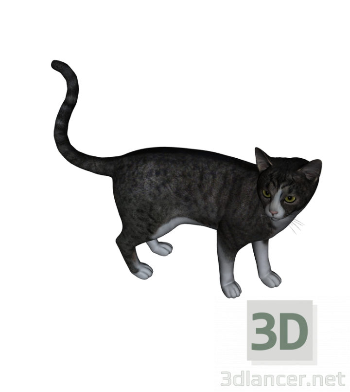 3D-Model 
The Cat Barsik
