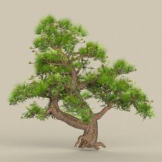 Low Poly Tree 05 3D Model