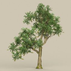Game Ready Tree 10 3D Model