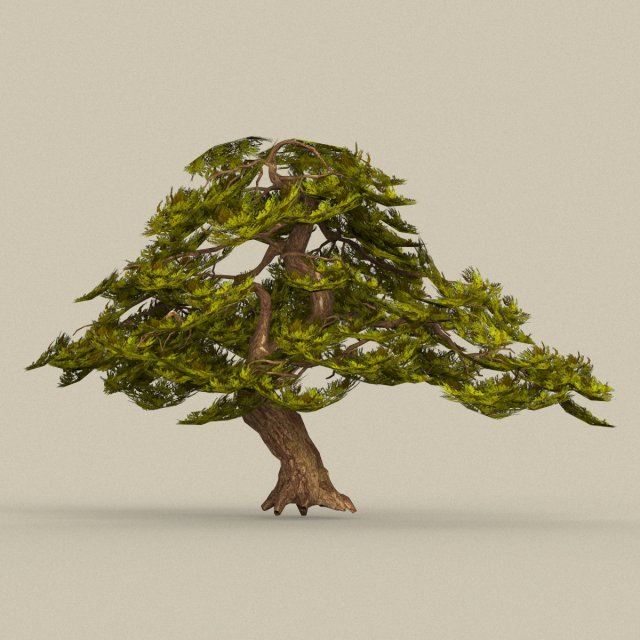 Game Ready Tree 21 3D Model