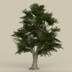 Game Ready Tree 07 3D Model
