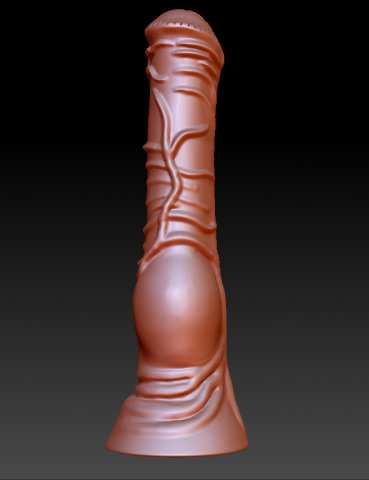 Penis 3D 3D Model