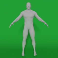 Muscule man 3D Model