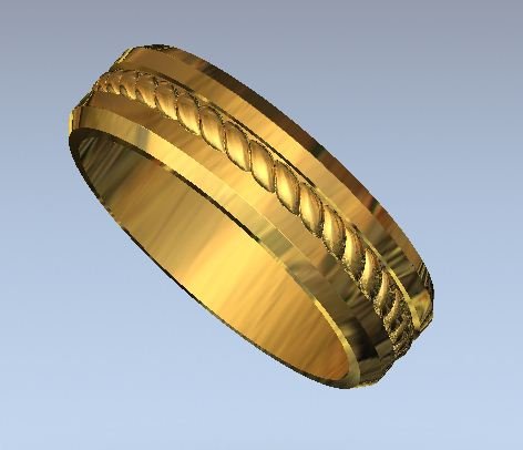 Ring d 18 3D Model