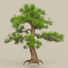 Low Poly Tree 03 3D Model
