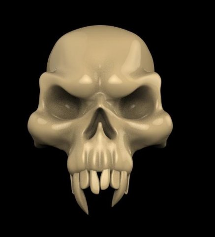 Skull 3D Model