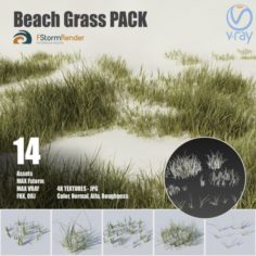 Beach grass pack 3D Model