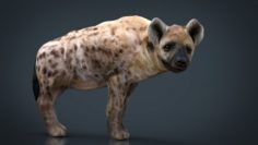 Realistic Hyena 3D Model