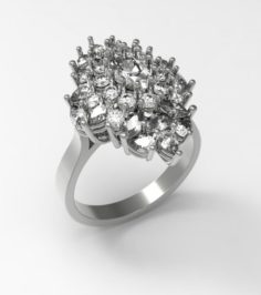 Ring Summer 3D Model