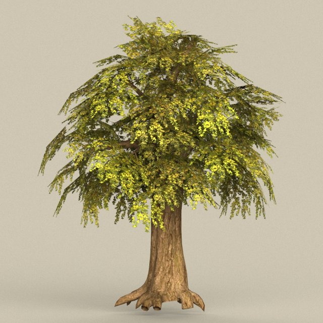Game Ready Tree 15 3D Model
