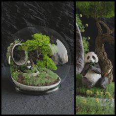 Florarium Bonsai 3D Model