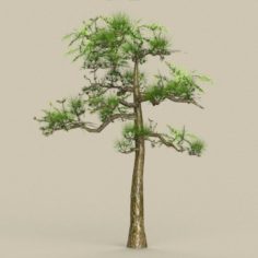 Low Poly Tree 01 3D Model