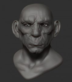 Orge Head 3D Model