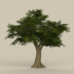 Game Ready Tree 08 3D Model