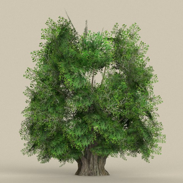 Game Ready Tree 03 3D Model