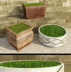 Decorative Grasses Set 3D Model