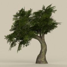 Game Ready Tree 06 3D Model