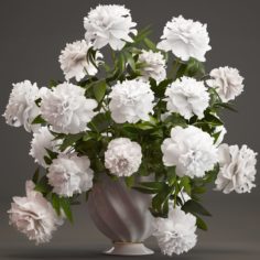 Bouquet white Peonies 3D Model