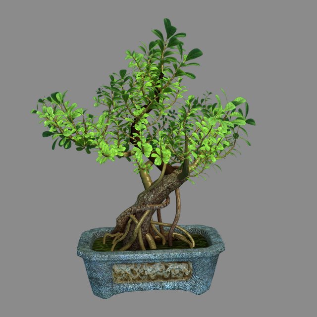 Indoor – Potted – Plants 03 3D Model