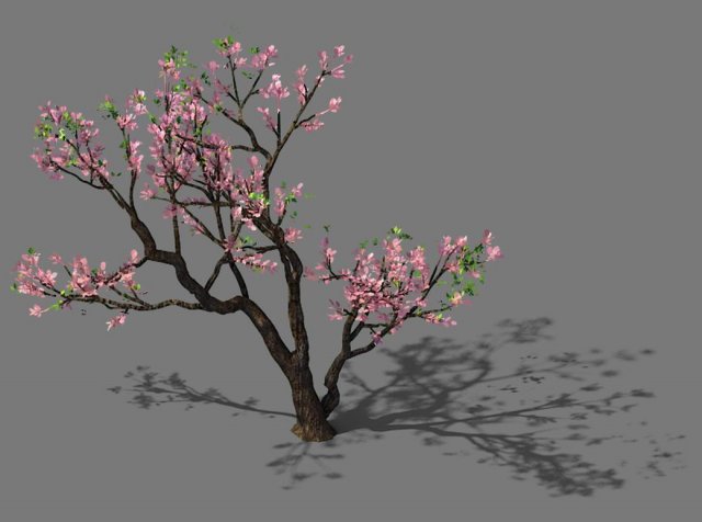 New Village – Peach 03 3D Model