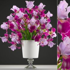 Flower bouquet of iris 3D Model