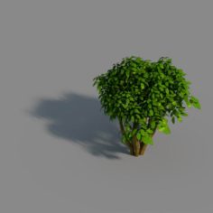Small bamboo peak – tree 02 3D Model