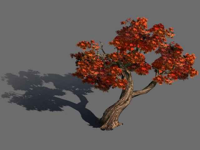 Forest – Maple 9903 3D Model