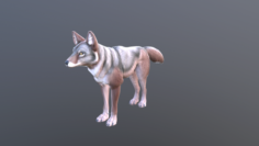 Coyote 3D Model