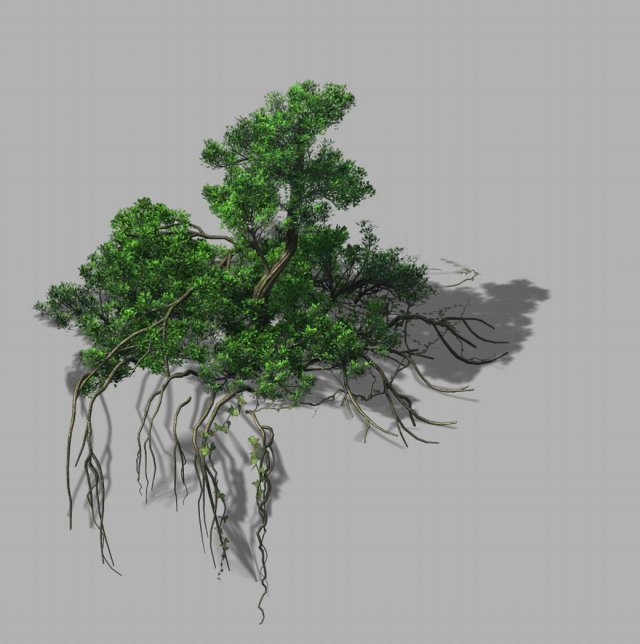 Mountain Hengshan – Dry tree 01 3D Model
