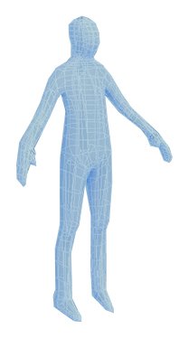 Male human low-poly rigged anatomic model 3D Model