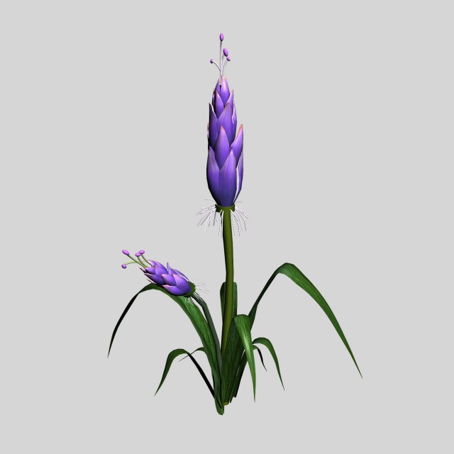 Wizard Villa – Flowers 02 3D Model