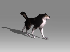 Stray Dog 3 3D Model
