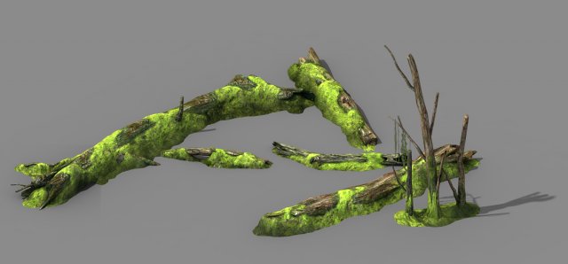 Mountains – dead wood – green algae – broken 01 3D Model