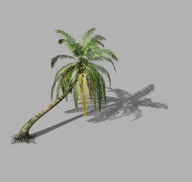 Huangguoshu Waterfall – Coconut Tree 03 3D Model