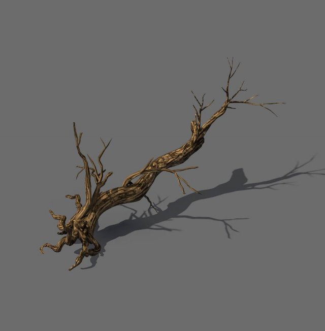 Explore the mountains – dead wood 06 3D Model