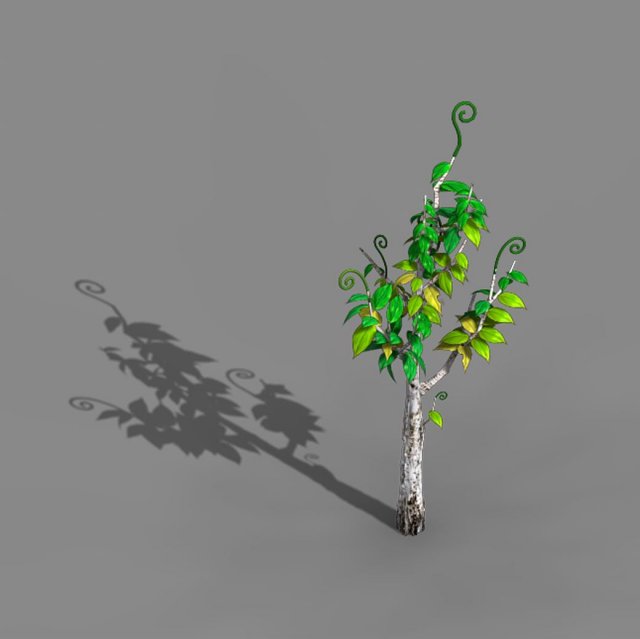 Acacia – trees 02 3D Model