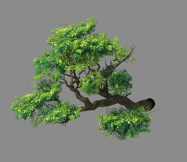 Explore the mountains – Cliff – Tree 02 3D Model