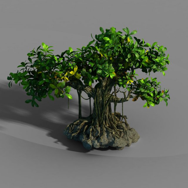 Small bamboo peak – big banyan tree 01 3D Model