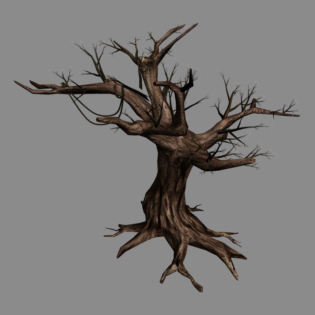 River Yangcheng – Ash tree trunk 01 3D Model