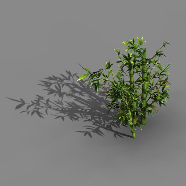 Koike Town – Plant – Bamboo 01 3D Model