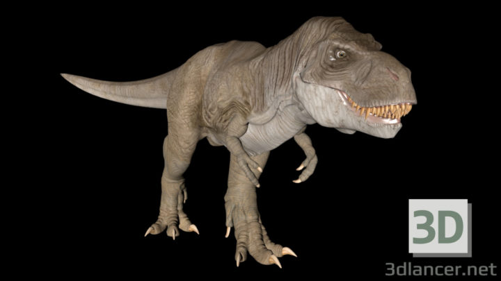 3D-Model 
Tyrannosaurus Rex