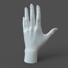 CAD-friendly Casual Woman Hand Model F1P1D0V1hand 3D Model