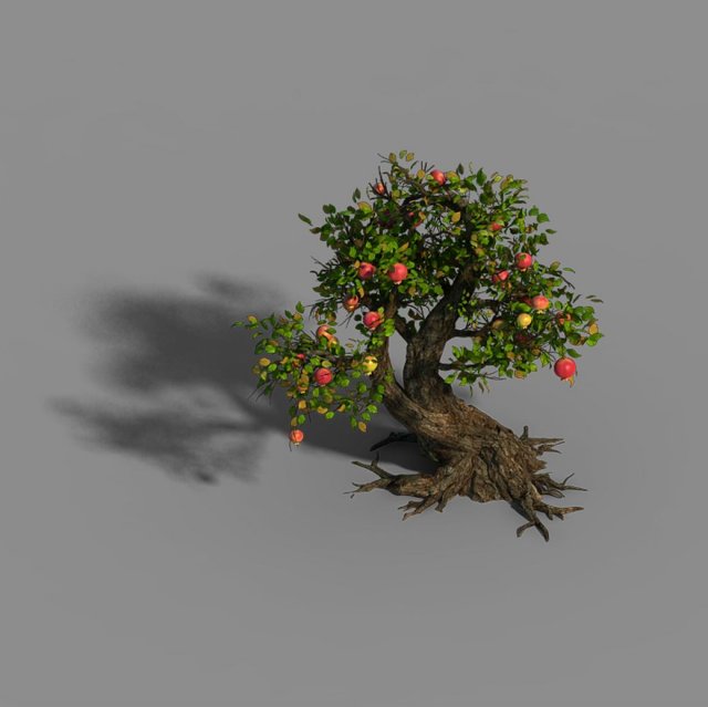 Material – tree 05 3D Model