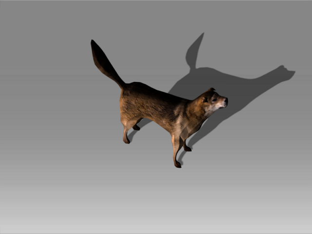 Stray Dog 2 3D Model